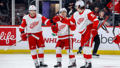 自支撑整支 自支撑整支