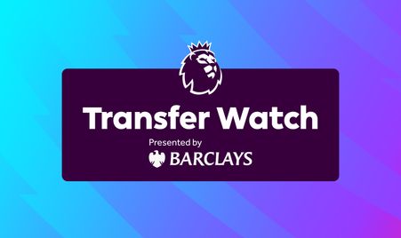 的职业生涯 的职业生涯